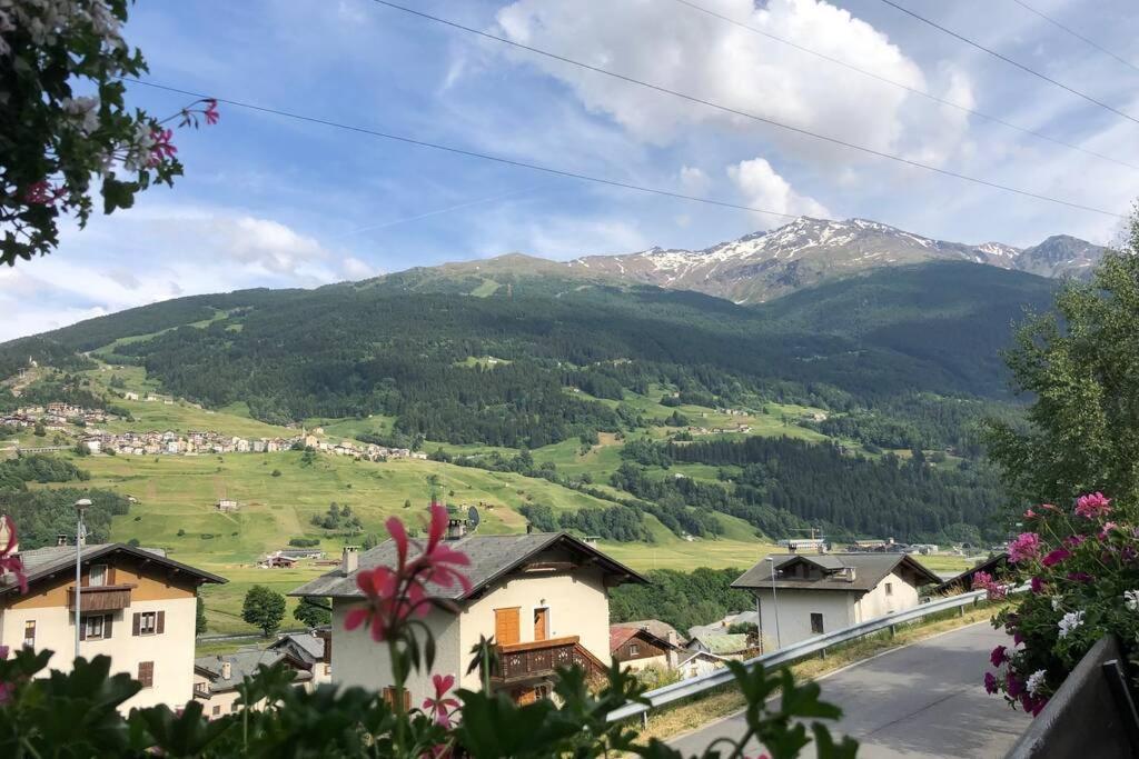 Appartamento A Due Passi Da Bormio Valdisotto Zewnętrze zdjęcie