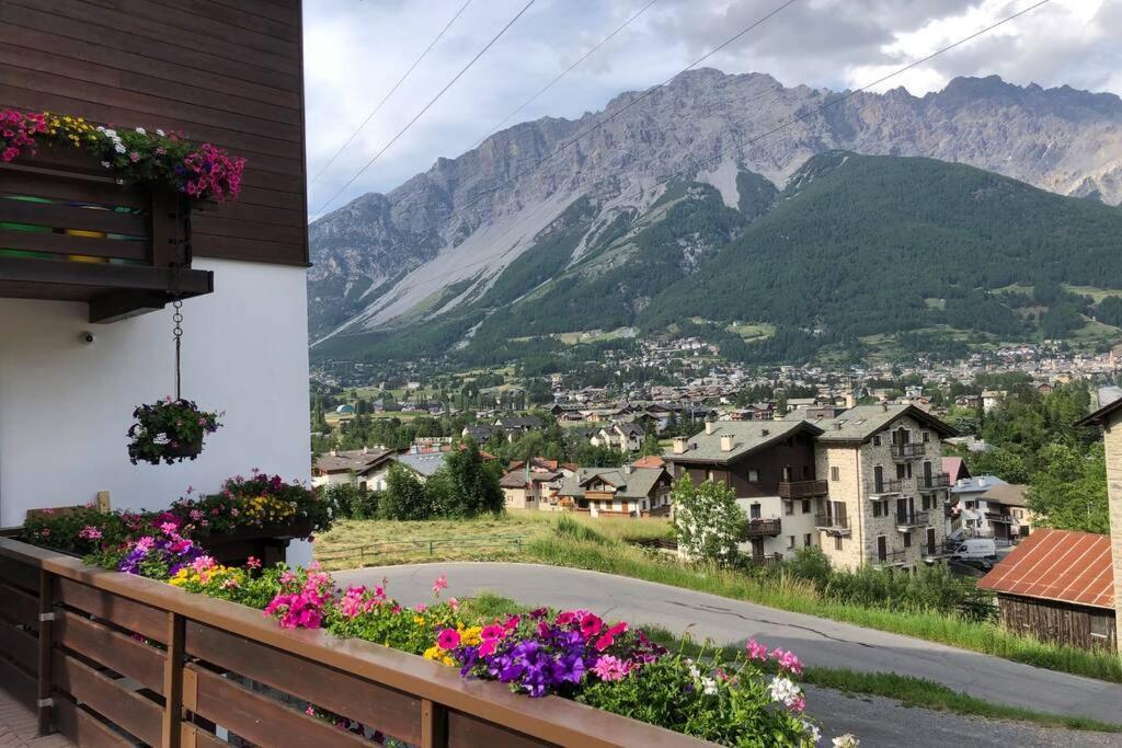 Appartamento A Due Passi Da Bormio Valdisotto Zewnętrze zdjęcie